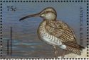 Whimbrel (Numenius phaeopus)